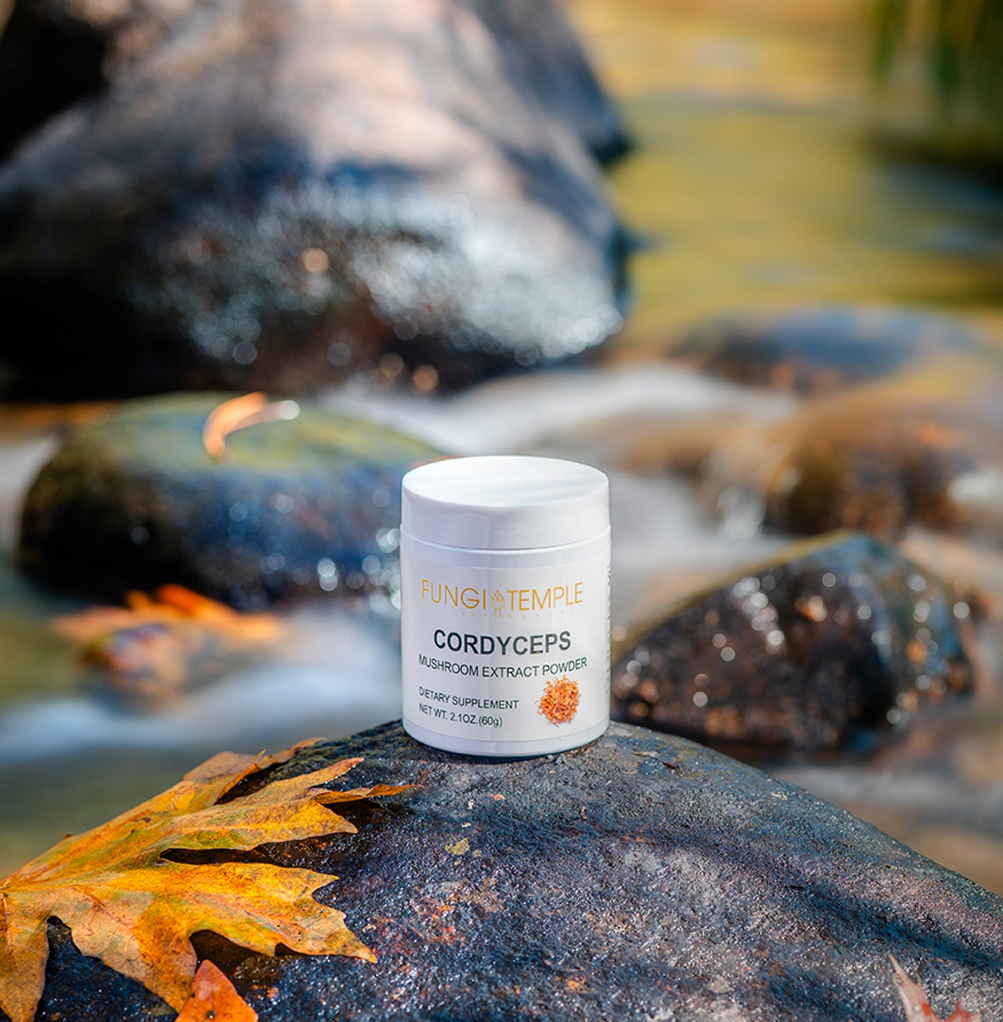 Cordyceps Mushroom Extract Powder