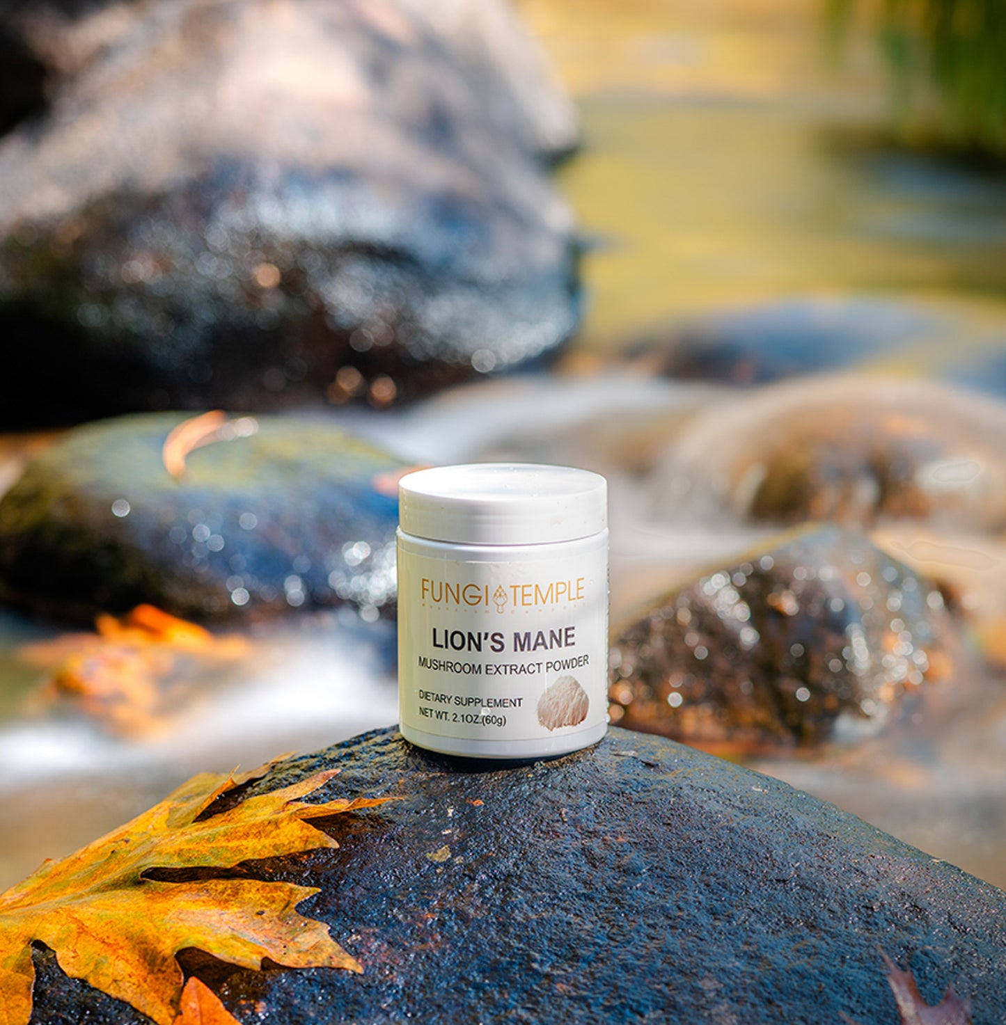 Lions Mane Mushroom Extract Powder