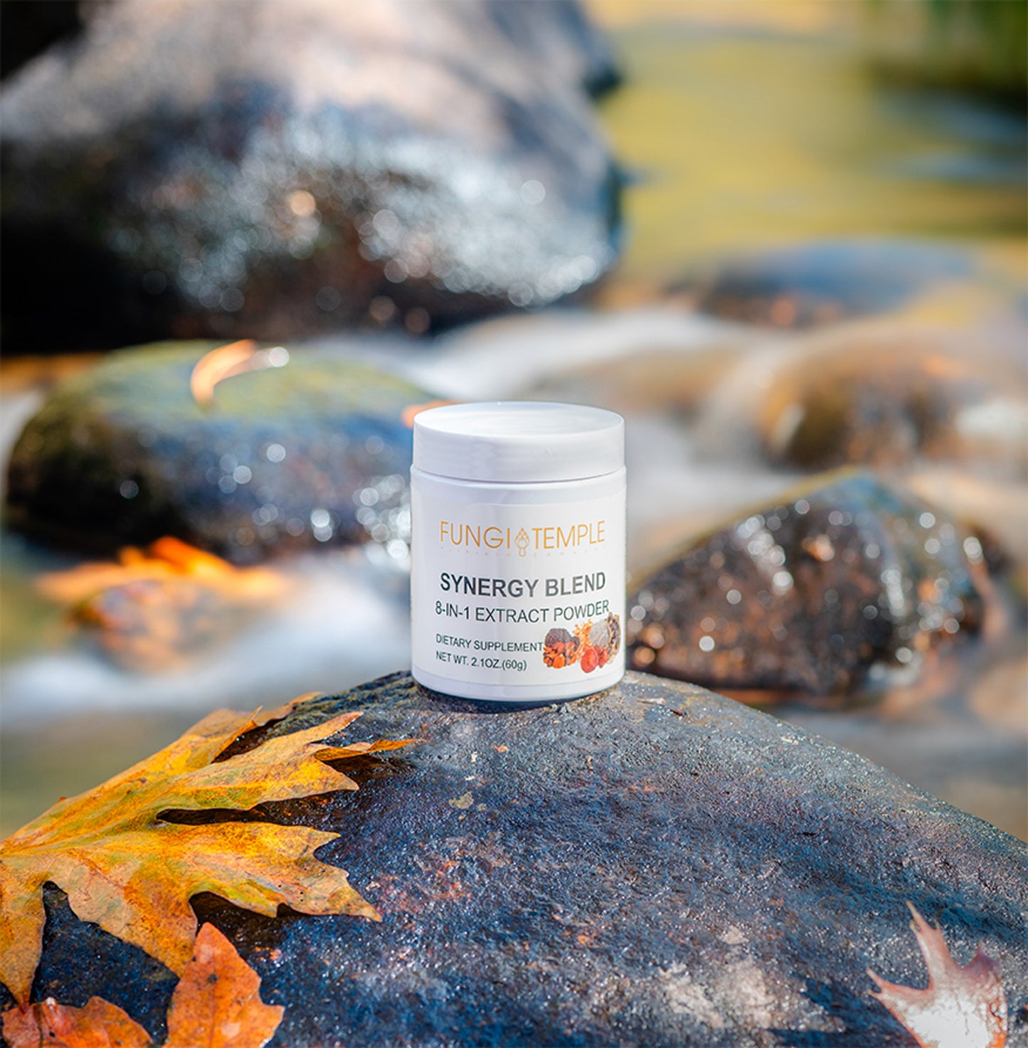 Synergy Blend 8-in-1 Mushroom Extract Powder